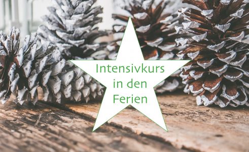 Intensivkurs in den Weihnachtsferien